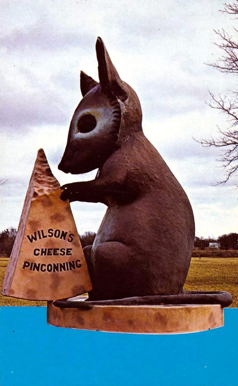 Wilsons Cheese Shop - Vintage Postcard